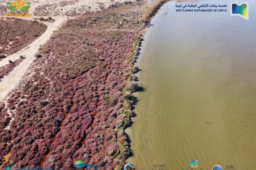 صورة جوية لموقع بحيرة أم حفين - تصوير محمد عيسى