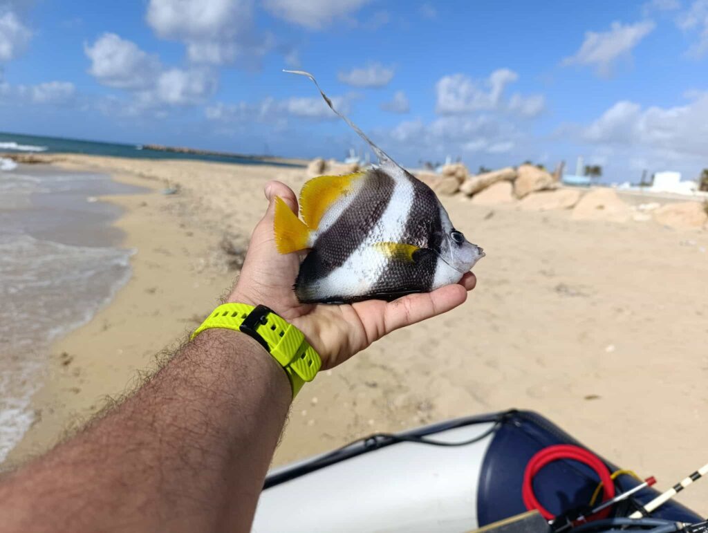 571172451 737313102715965 7996962354372903673 n