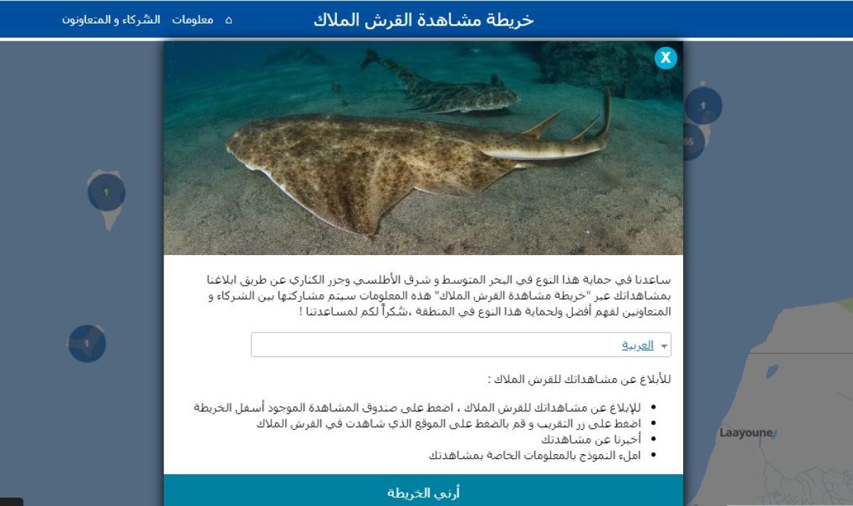 إطـلاق النسخة العربية من موقع 'خريطة مشاهدة القرش الملاك ' 2 %D8%A7%D9%84%D8%AA%D9%82%D8%A7%D8%B7 12bf9bb8