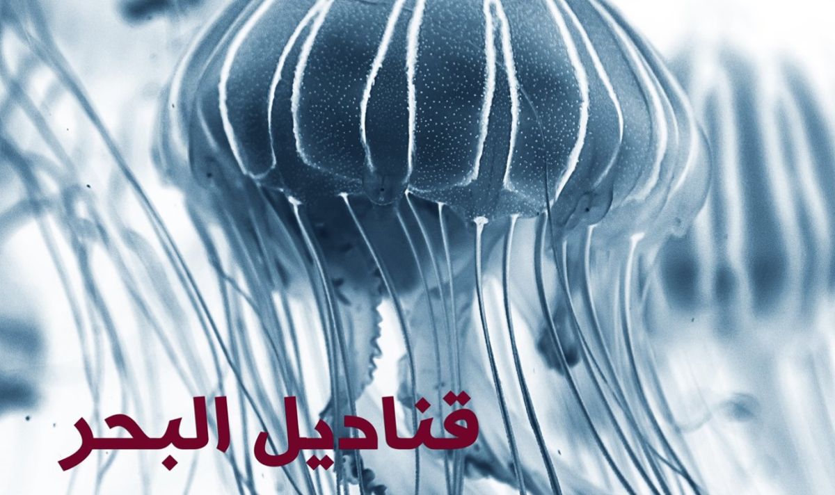 قناديل البحر في المياه الليبية 2 86464980 2556560267787628 7515411234275983360 o 375270a2