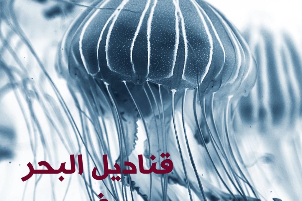 قناديل البحر في المياه الليبية 7 86464980 2556560267787628 7515411234275983360 o 432bdf52