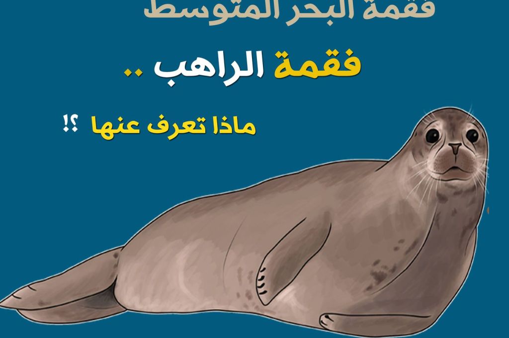 طائر بو غطاس ..غُراب الماء الكبير 12 156679684 805902210013943 5469815104327470572 n 85600928