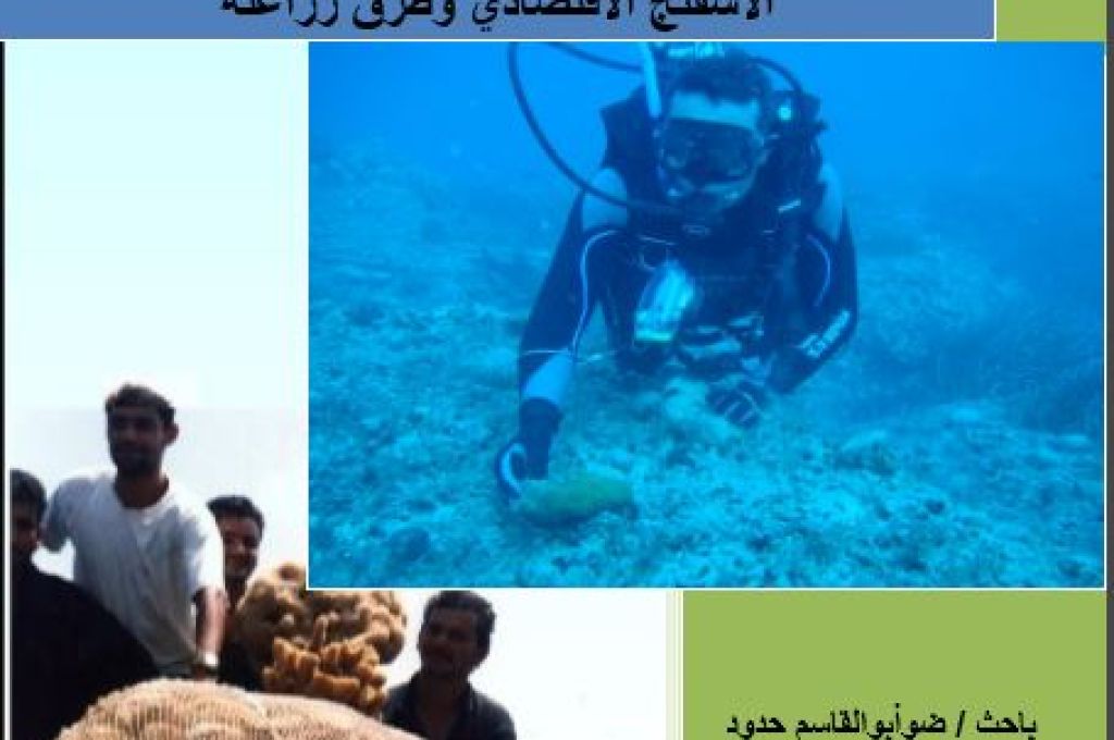 أهم الفروقات الشكلية بين القرش الأبيض و قرش ماكو (الزرقاية ) 7 ughhg 8752876e