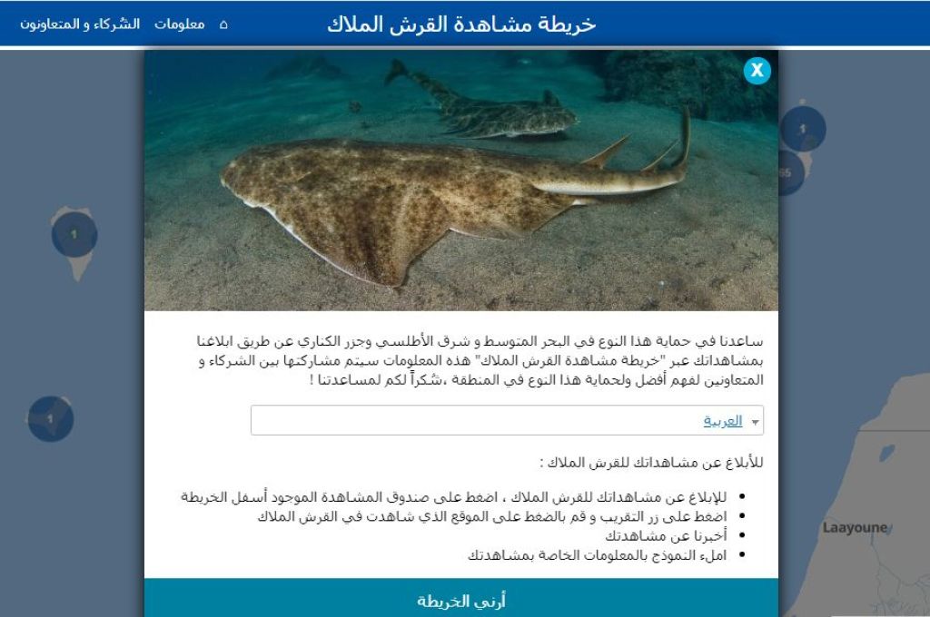 من أجل بيئة أفضل 4 %D8%A7%D9%84%D8%AA%D9%82%D8%A7%D8%B7 8cac7cad